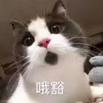 减肥饮食速效方案_减肥饮食速效胶囊_减肥饮食速效