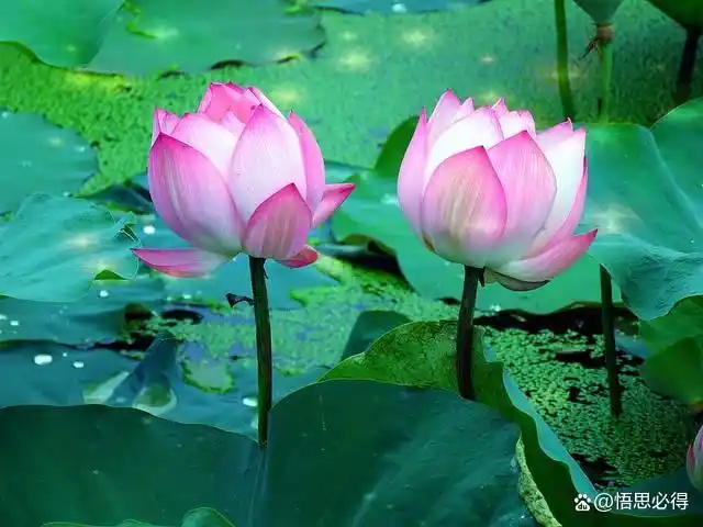 怎么样才能教育好孩子？_样才能教育好孩子的句子_怎样才可以教育好小孩