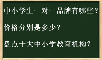 北京中小学一对一教育-北京的中小学