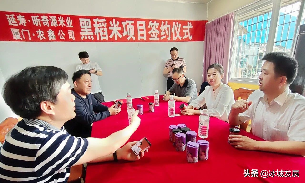 鹏程科技信息技术有限公司_北京鹏程科技有限公司_鹏程科技有限责任公司