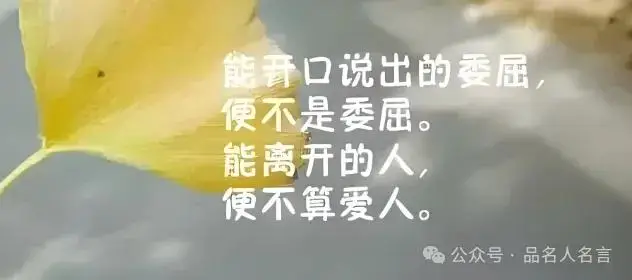 人生情感感悟经典句子_感悟经典句子短句_感悟经典句子说说心情