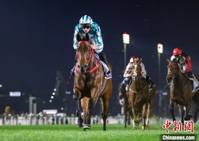 迪拜赛马世界杯 历届冠军-迪拜赛马世界杯2019直播