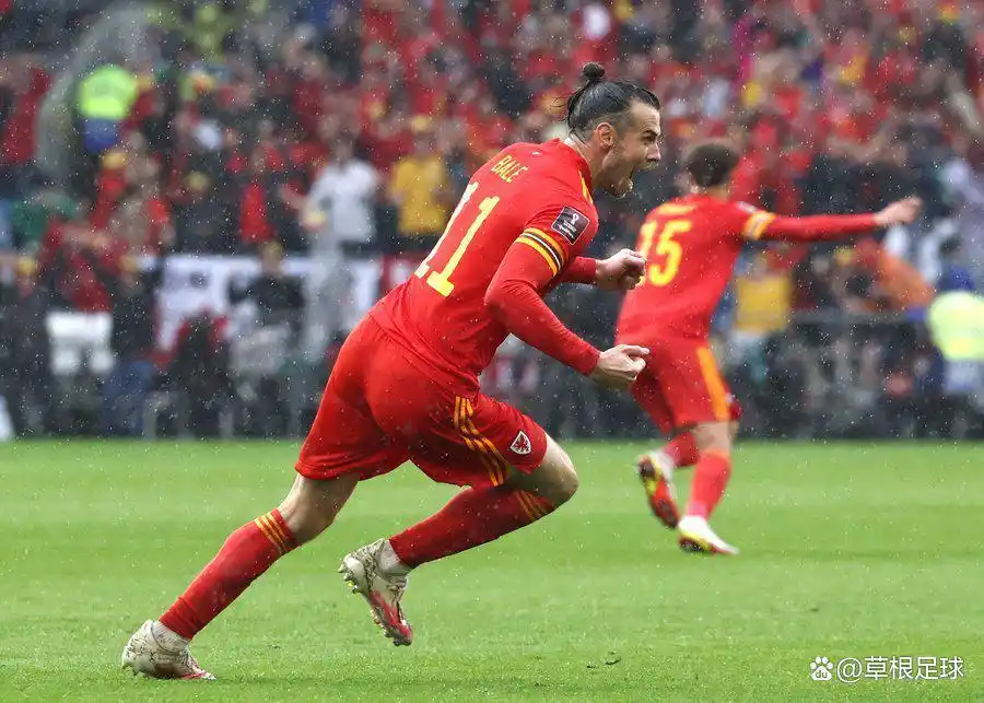 威尔士进世界杯_威尔士公开赛奖杯_威尔士比赛结果
