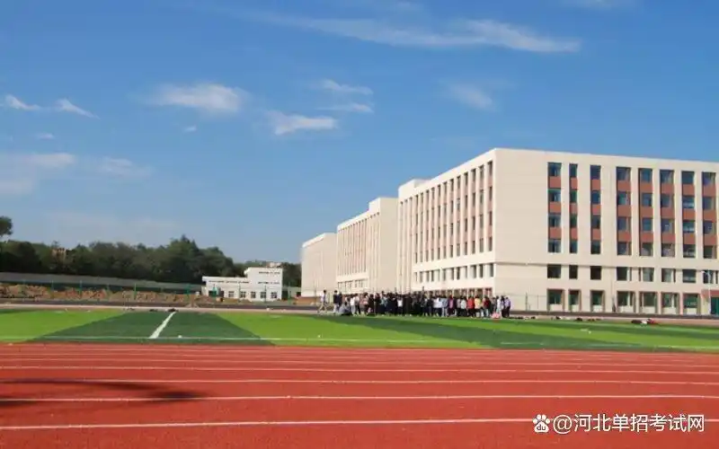 石家庄科技信息职业学院成绩查询_石家庄科技工程职业学院查成绩_石家庄科技信息职业学院成绩查询