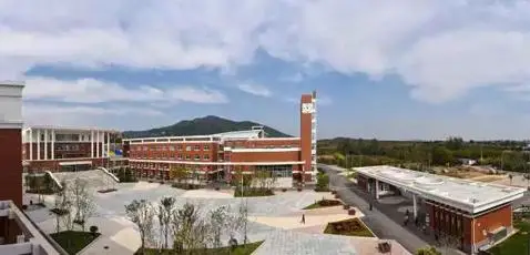 青岛19中科技班_青岛中小学生科技节_青岛19中科技班优势