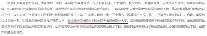 德州科技职业学院升格本科院校_德州科技职业学院升本率高不高_德州科技职业技术学院升格