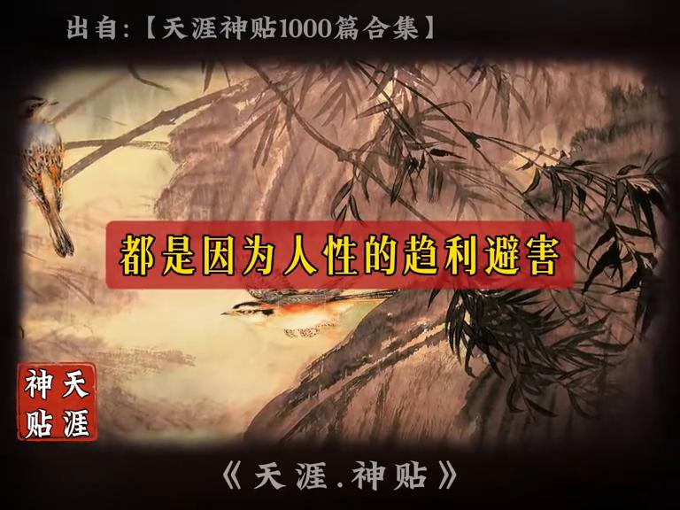 天涯感情全部热贴_天涯很火的情感帖_天涯情感好贴