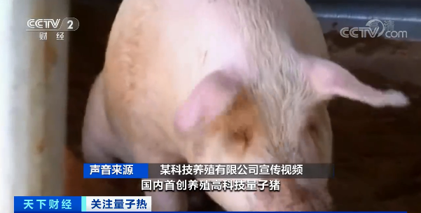 量子科技有限公司_量子科技骗局是真的吗_量子科技骗局