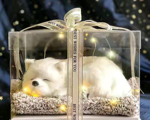 小猫高兴时表达的情感-小猫高兴表达情感时的表现
