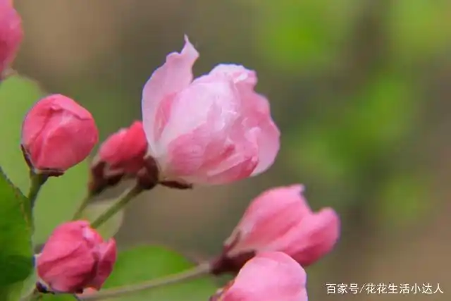 牵挂的滋味【情感美文】-牵挂滋味
