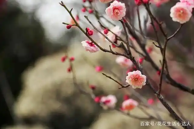 人生感悟_牵挂的滋味【情感美文】_牵挂滋味
