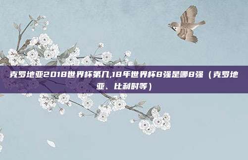 克罗地亚2018世界杯第几,18年世界杯8强是哪8强（克罗地亚、比利时等）