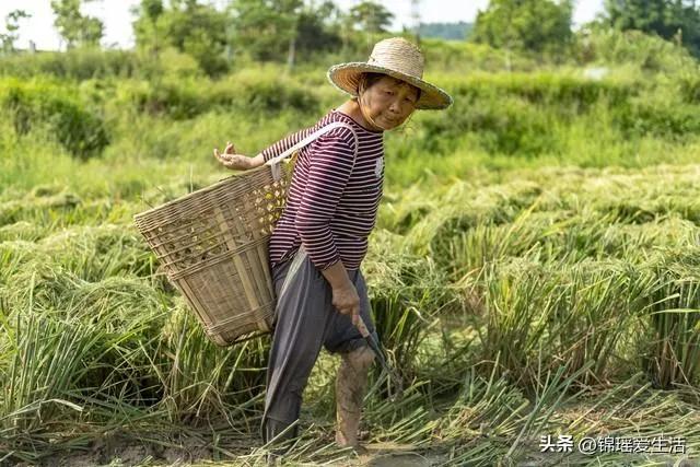 2025年择偶新标准_和谐家庭氛围重要性_2025情感部落格3月15日未来女婿比我小一岁视频
